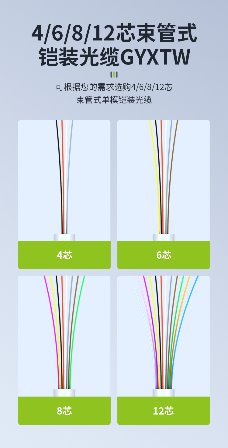 光纖12芯